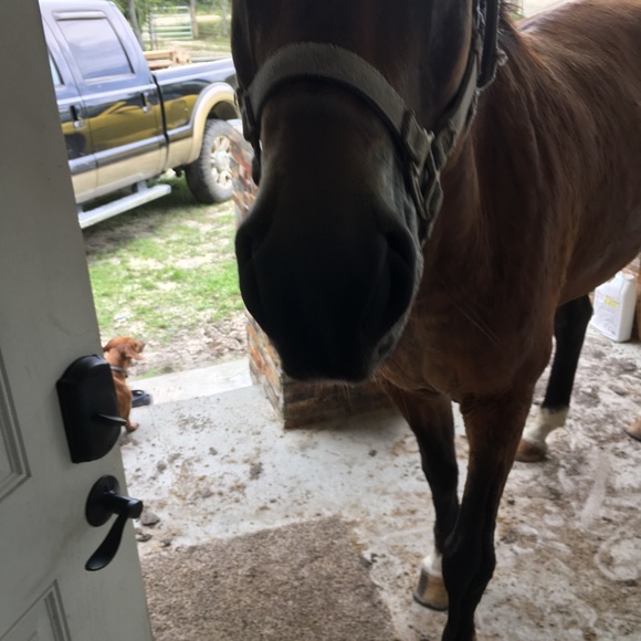 Meet your Posher, Victoria - Picture 13 of 13